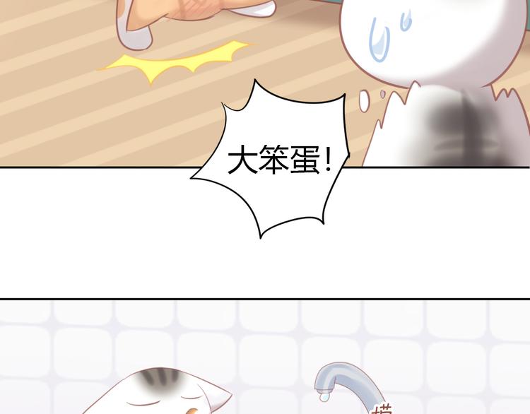 猫爪之下韩漫全集-第87话  你不是王子！无删减无遮挡章节图片 