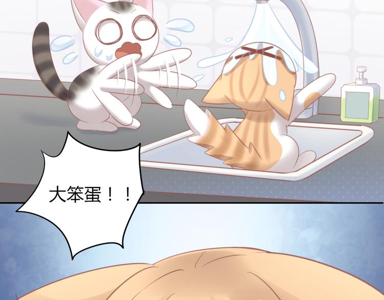猫爪之下韩漫全集-第87话  你不是王子！无删减无遮挡章节图片 