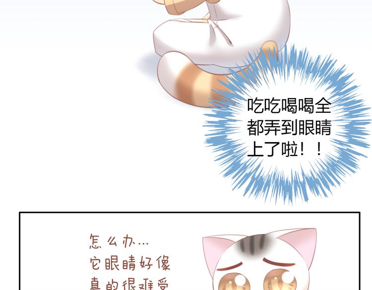 猫爪之下韩漫全集-第87话  你不是王子！无删减无遮挡章节图片 
