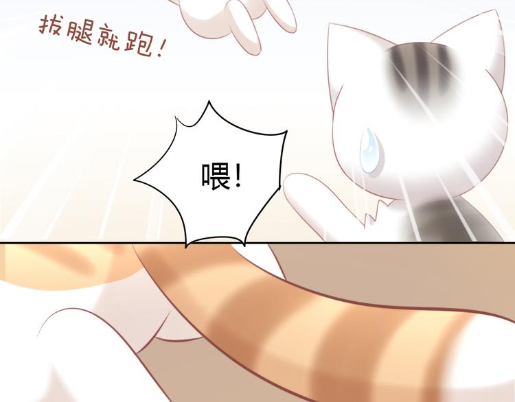 猫爪之下韩漫全集-第88话 更近一点无删减无遮挡章节图片 