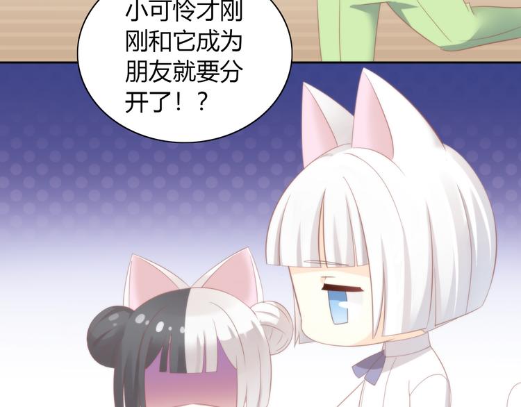 猫爪之下韩漫全集-第90话 傲娇的愤怒无删减无遮挡章节图片 