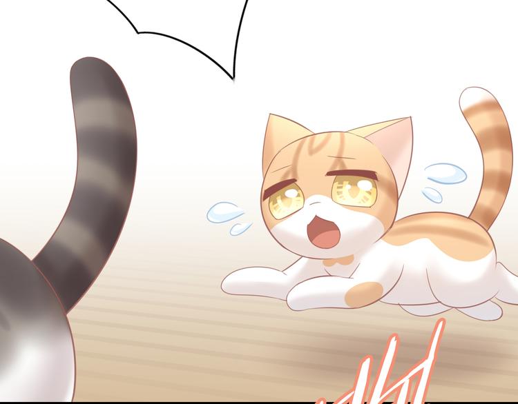 猫爪之下韩漫全集-第90话 傲娇的愤怒无删减无遮挡章节图片 