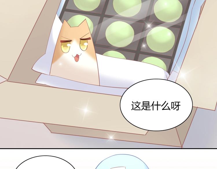 猫爪之下韩漫全集-第92话 春天的味道无删减无遮挡章节图片 