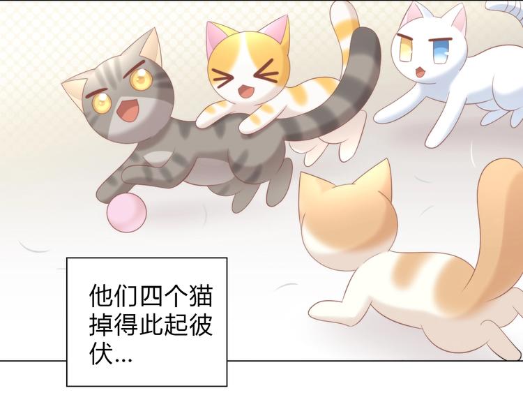 猫爪之下韩漫全集-第93话 撸猫快乐成仙！无删减无遮挡章节图片 