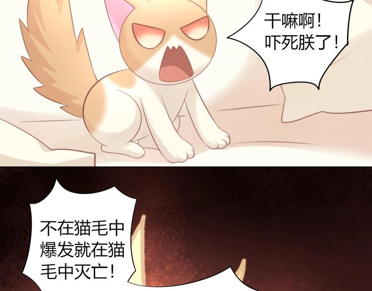 猫爪之下韩漫全集-第93话 撸猫快乐成仙！无删减无遮挡章节图片 