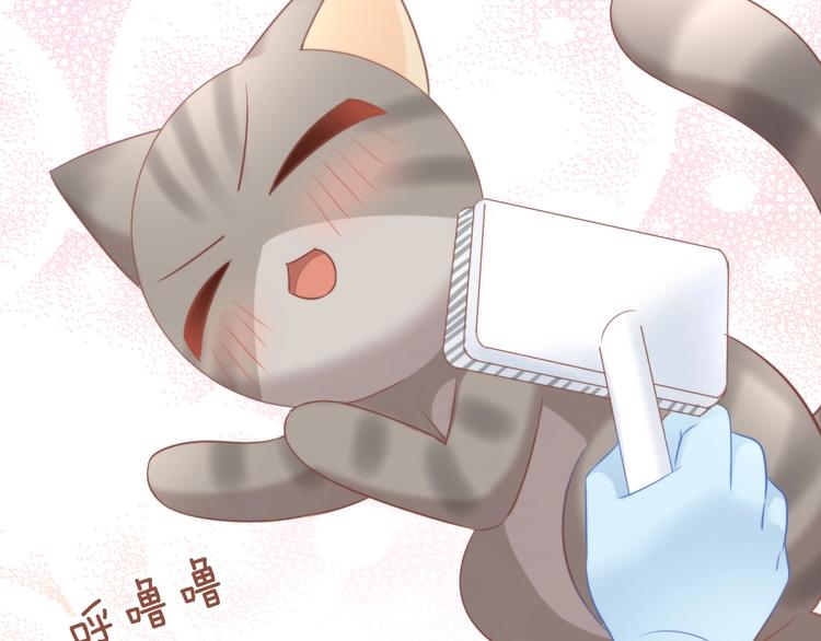 猫爪之下韩漫全集-第93话 撸猫快乐成仙！无删减无遮挡章节图片 