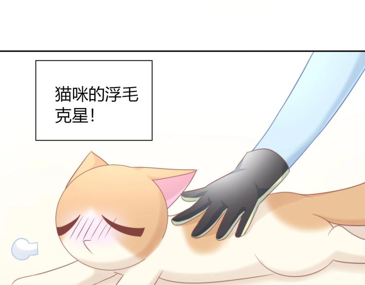 猫爪之下韩漫全集-第93话 撸猫快乐成仙！无删减无遮挡章节图片 