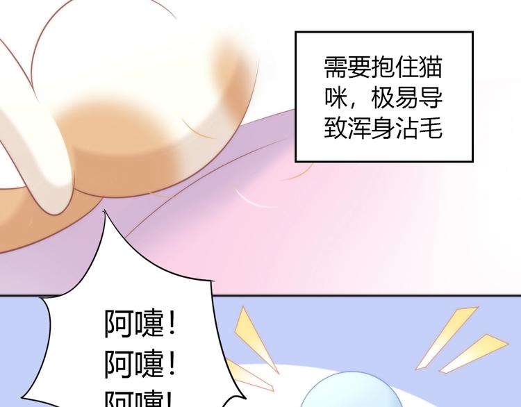 猫爪之下韩漫全集-第93话 撸猫快乐成仙！无删减无遮挡章节图片 
