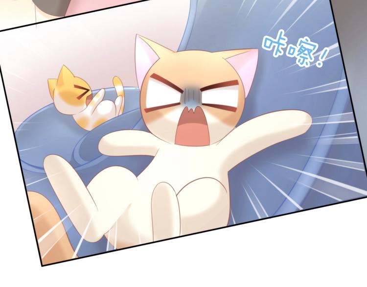 猫爪之下韩漫全集-第95话 五一豪华游无删减无遮挡章节图片 
