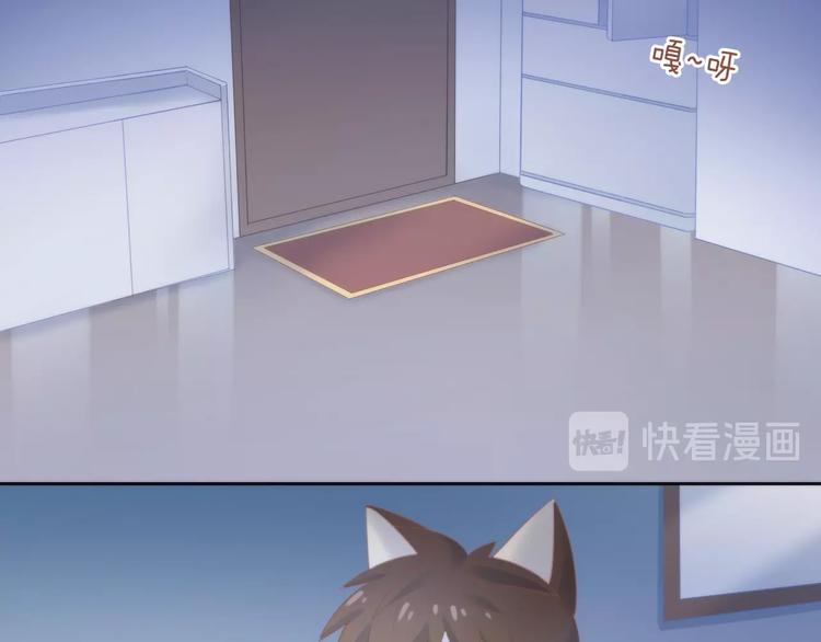 猫爪之下韩漫全集-第96话 神秘小偷现身无删减无遮挡章节图片 