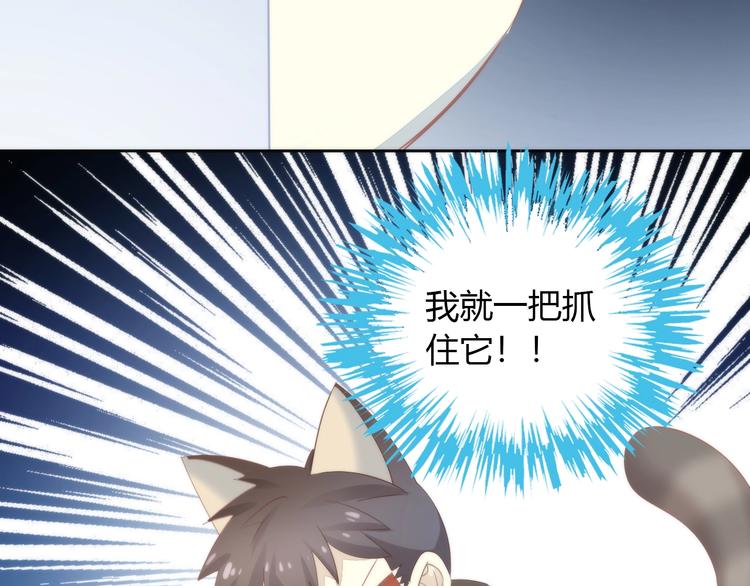 猫爪之下韩漫全集-第96话 神秘小偷现身无删减无遮挡章节图片 