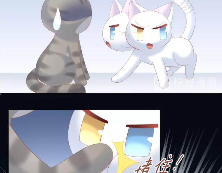 猫爪之下韩漫全集-第96话 神秘小偷现身无删减无遮挡章节图片 