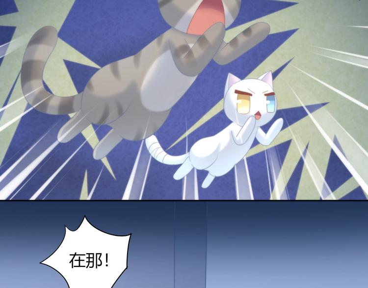 猫爪之下韩漫全集-第96话 神秘小偷现身无删减无遮挡章节图片 