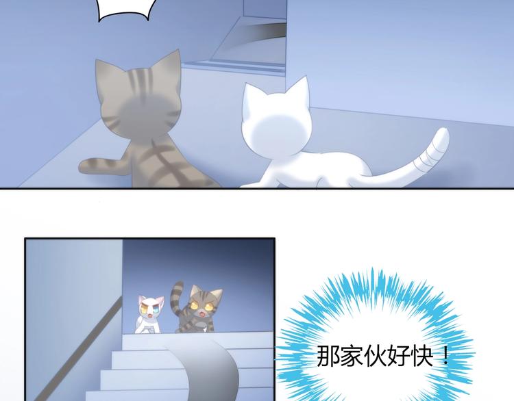 猫爪之下韩漫全集-第96话 神秘小偷现身无删减无遮挡章节图片 