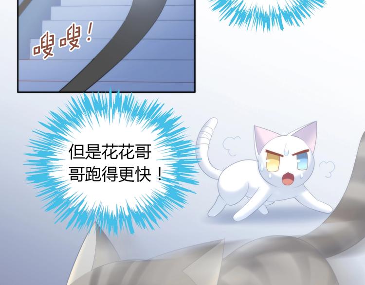 猫爪之下韩漫全集-第96话 神秘小偷现身无删减无遮挡章节图片 