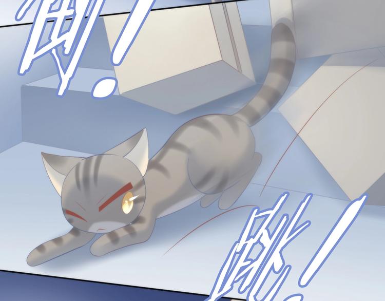 猫爪之下韩漫全集-第96话 神秘小偷现身无删减无遮挡章节图片 