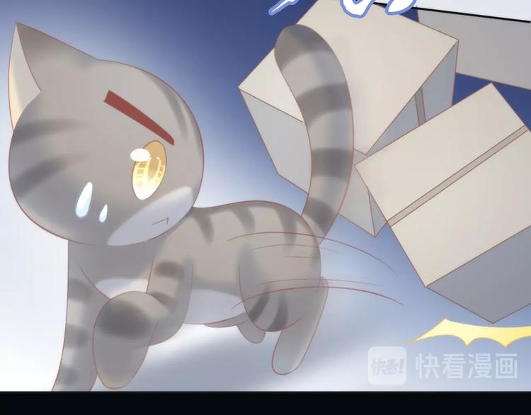 猫爪之下韩漫全集-第96话 神秘小偷现身无删减无遮挡章节图片 