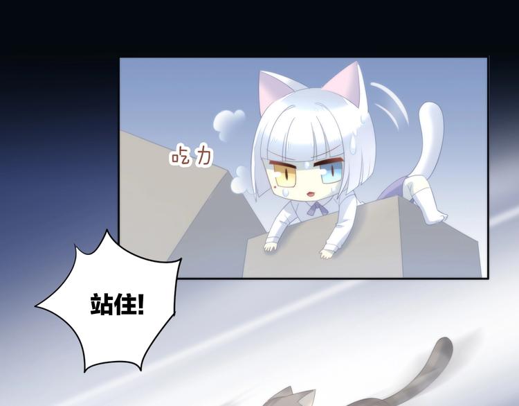 猫爪之下韩漫全集-第96话 神秘小偷现身无删减无遮挡章节图片 
