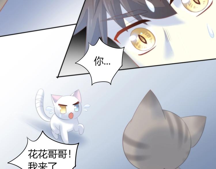 猫爪之下韩漫全集-第96话 神秘小偷现身无删减无遮挡章节图片 