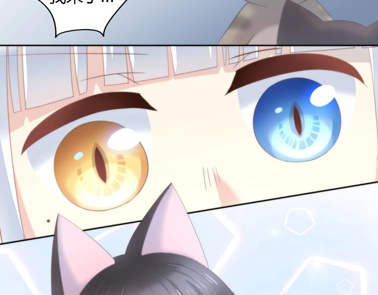 猫爪之下韩漫全集-第96话 神秘小偷现身无删减无遮挡章节图片 