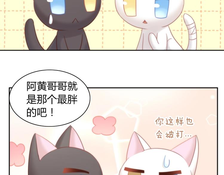 猫爪之下韩漫全集-第98话 吃醋！无删减无遮挡章节图片 
