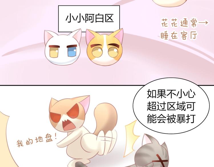 猫爪之下韩漫全集-第98话 吃醋！无删减无遮挡章节图片 