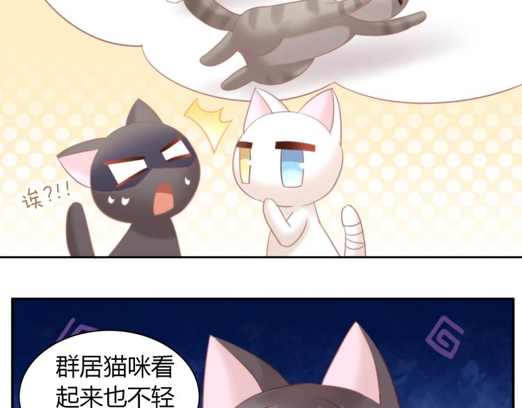猫爪之下韩漫全集-第98话 吃醋！无删减无遮挡章节图片 