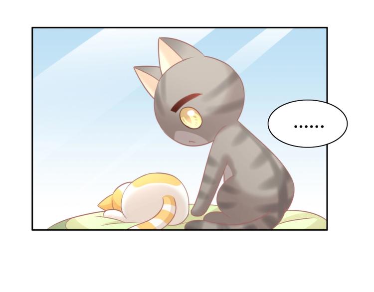 猫爪之下韩漫全集-第99话 你们不要再那么亲密了无删减无遮挡章节图片 