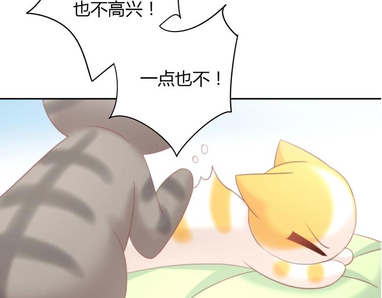 猫爪之下韩漫全集-第99话 你们不要再那么亲密了无删减无遮挡章节图片 