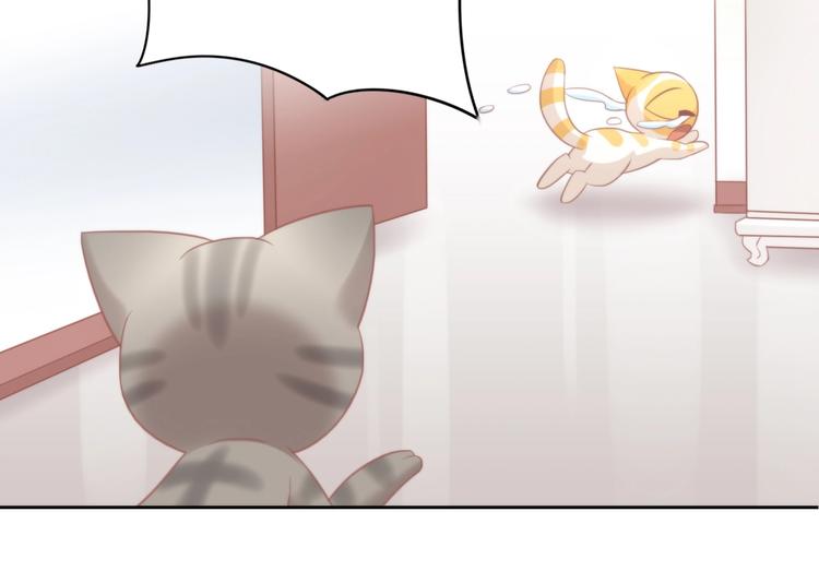 猫爪之下韩漫全集-第99话 你们不要再那么亲密了无删减无遮挡章节图片 