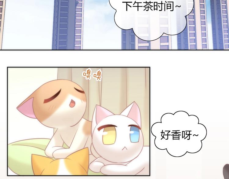 猫爪之下韩漫全集-第99话 你们不要再那么亲密了无删减无遮挡章节图片 