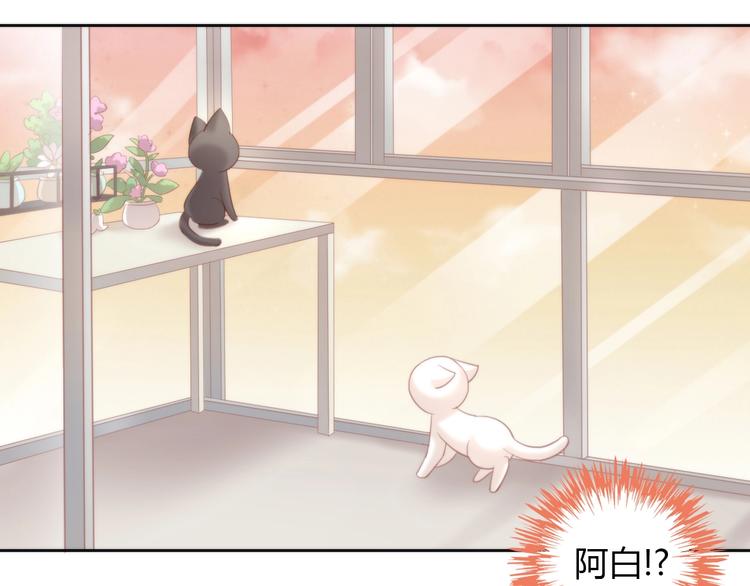 猫爪之下韩漫全集-第99话 你们不要再那么亲密了无删减无遮挡章节图片 