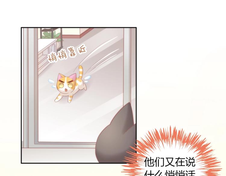 猫爪之下韩漫全集-第99话 你们不要再那么亲密了无删减无遮挡章节图片 