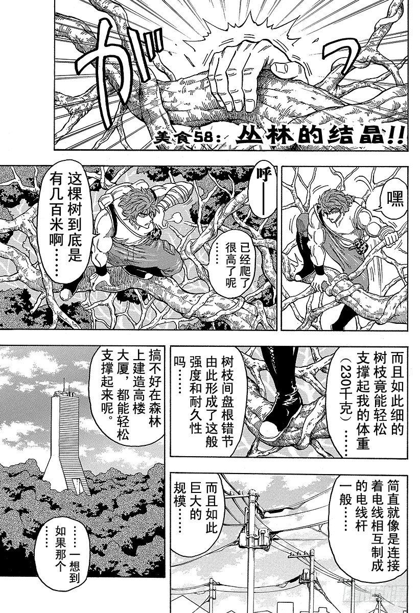 美食的俘虏韩漫全集-第58话 丛林的结晶！！无删减无遮挡章节图片 