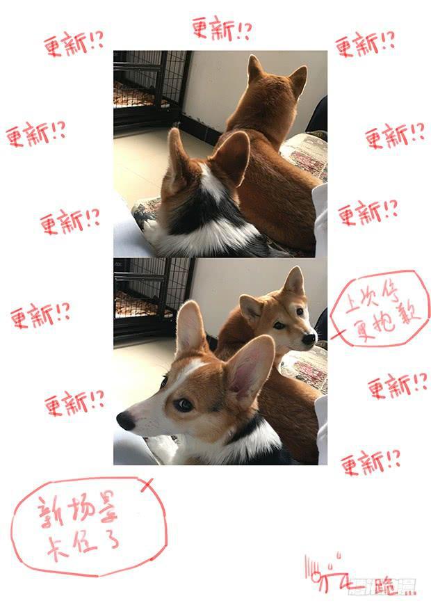 妹子与科学韩漫全集-329 夺回自由无删减无遮挡章节图片 