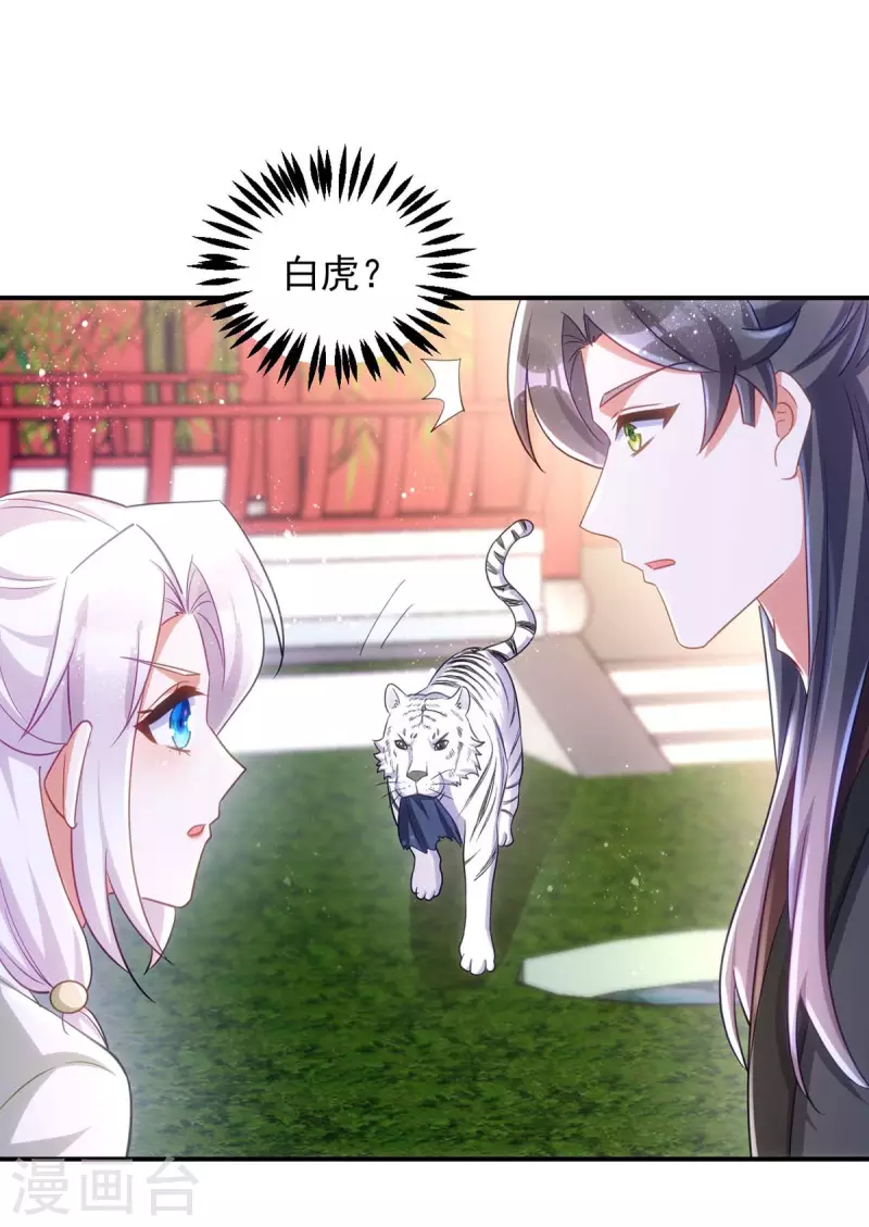 萌虎重生：将军大人要抱抱韩漫全集-第93话 小白报信无删减无遮挡章节图片 