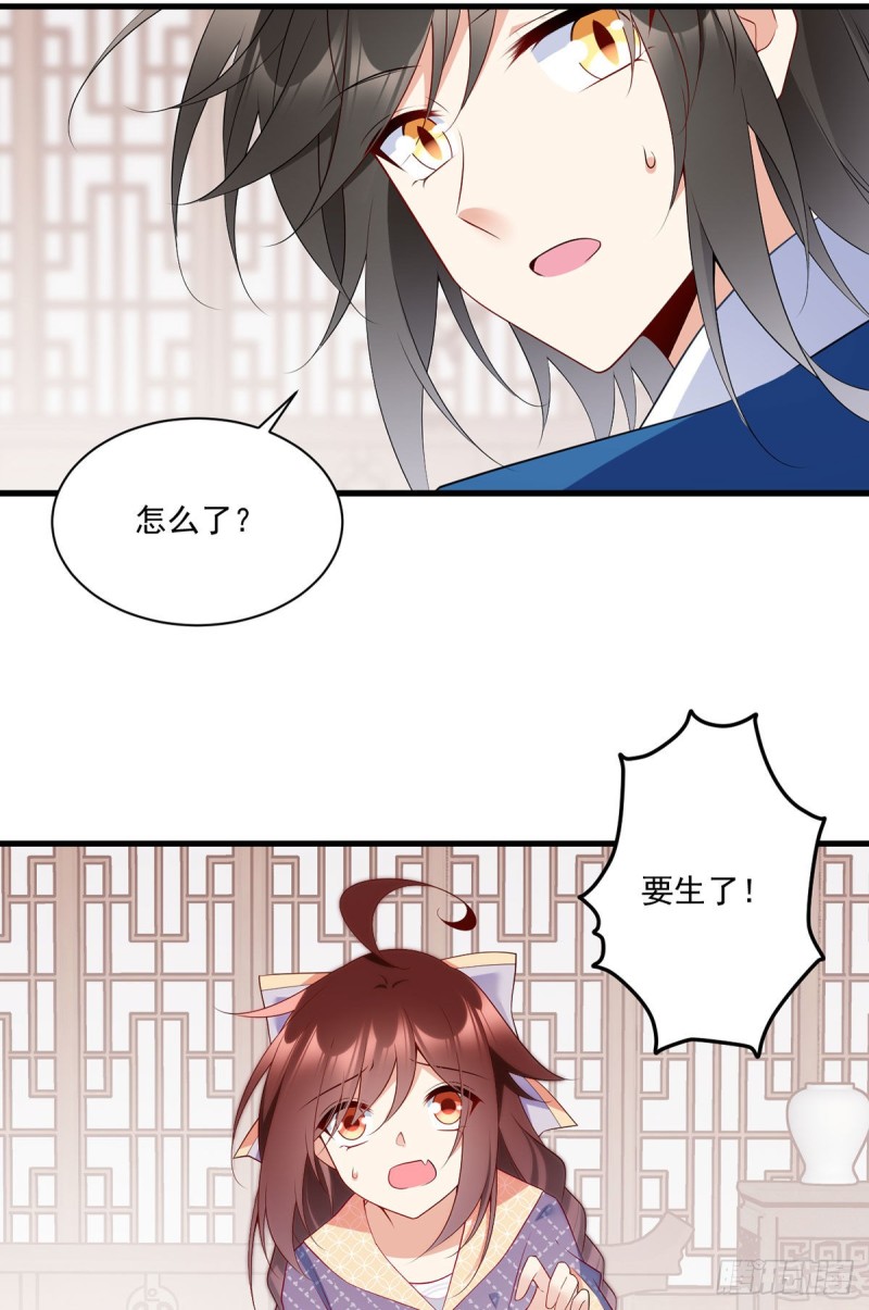 萌师在上韩漫全集-249.生了生了，它生了！无删减无遮挡章节图片 