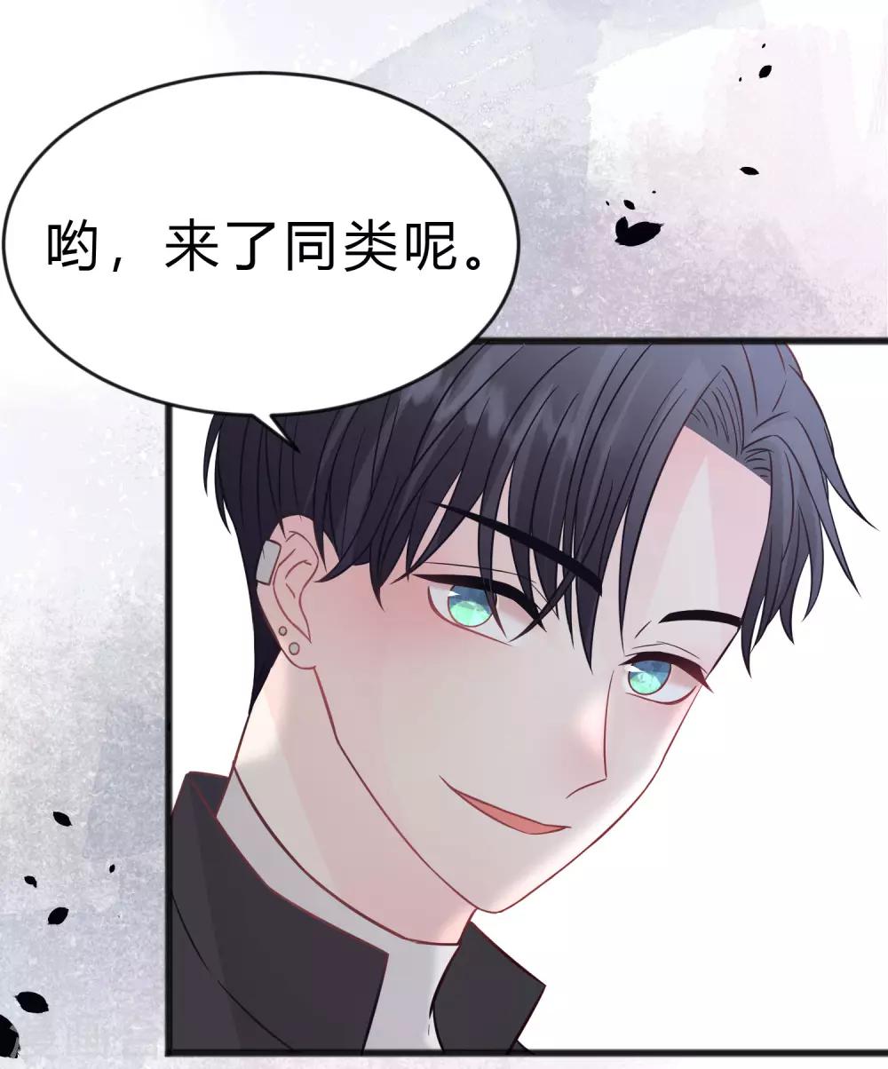 梦魇总裁的专属甜点韩漫全集-第183话 娱乐公司的老板是狼人老大？无删减无遮挡章节图片 