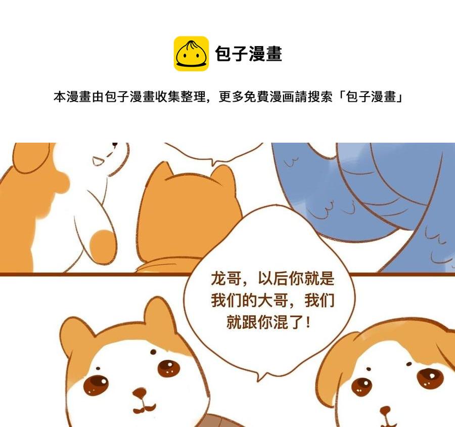 门徒韩漫全集-第348话 就是他无删减无遮挡章节图片 