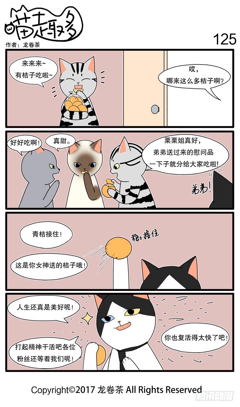 喵趣多韩漫全集-119~130无删减无遮挡章节图片 
