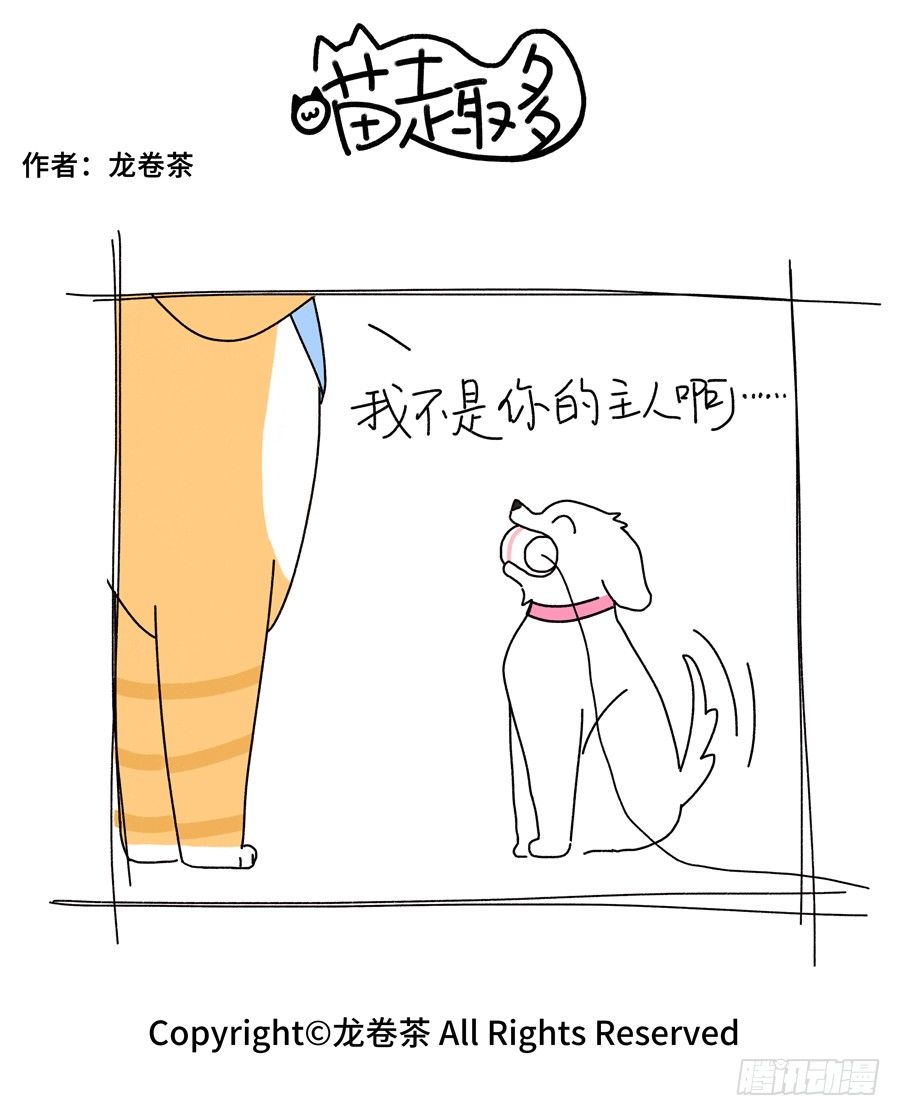 喵趣多韩漫全集-570无删减无遮挡章节图片 