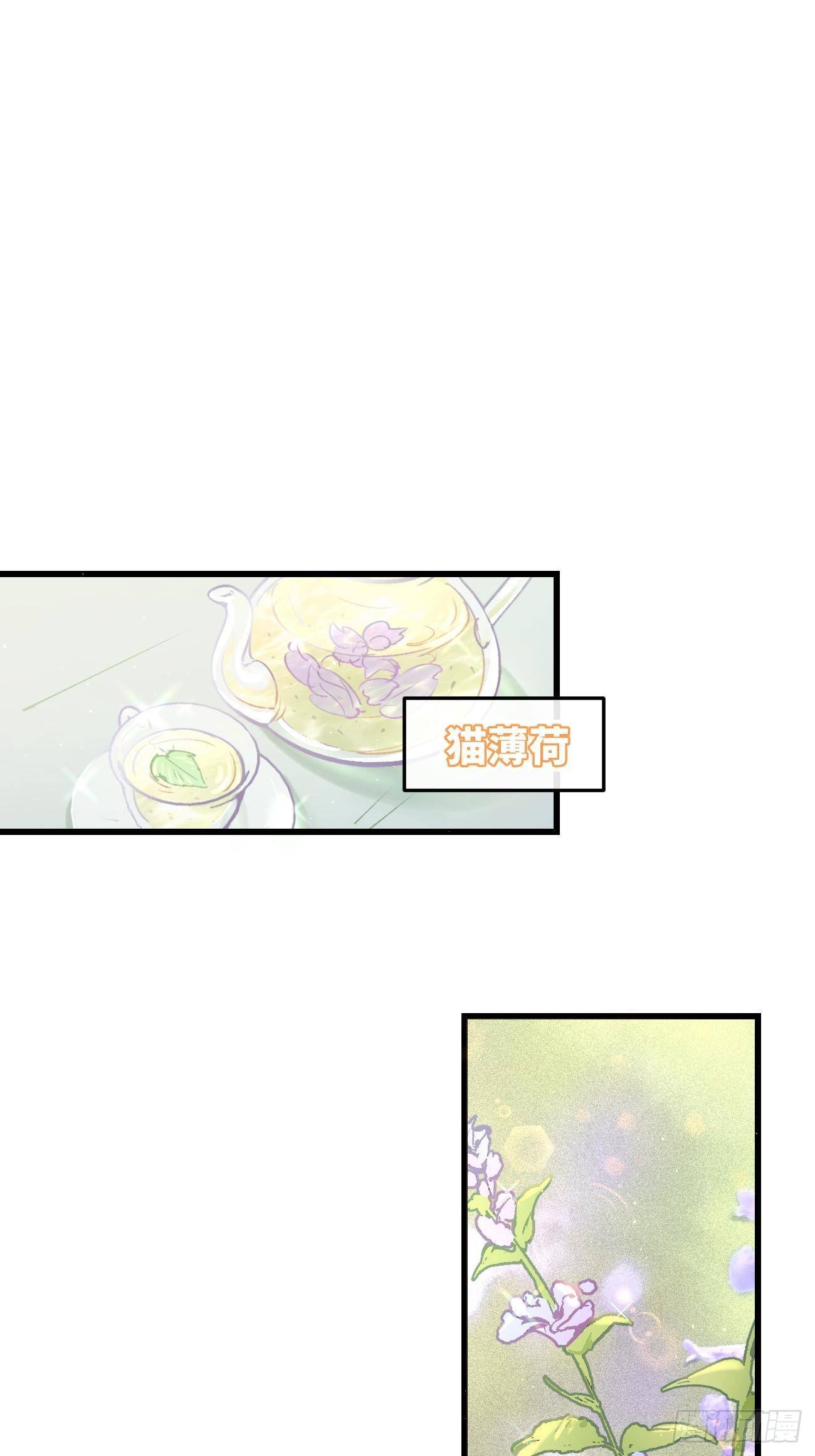 喵与喵薄荷韩漫全集-★预告★无删减无遮挡章节图片 