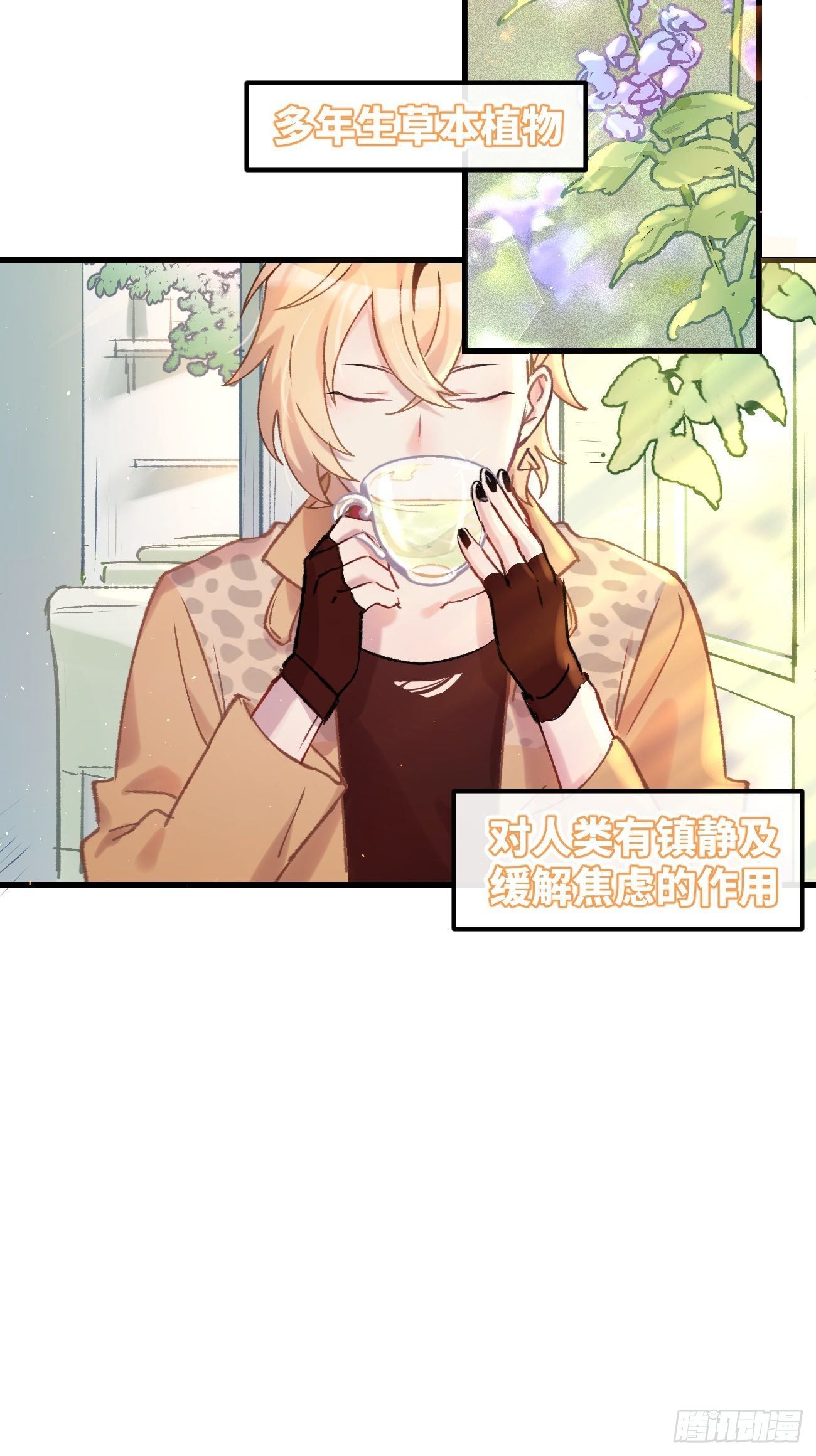 喵与喵薄荷韩漫全集-★预告★无删减无遮挡章节图片 