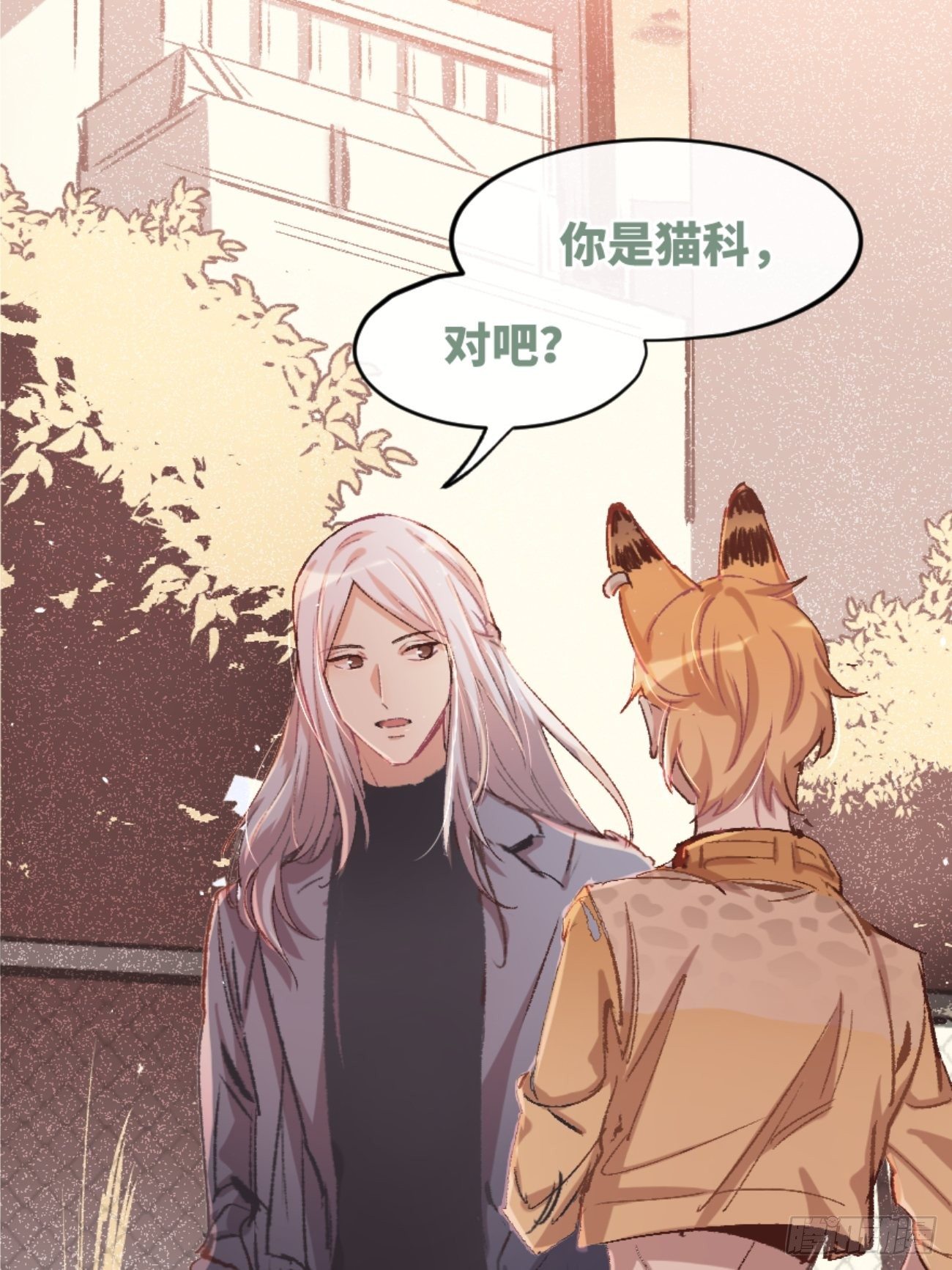 喵与喵薄荷韩漫全集-◆01话◆ A无删减无遮挡章节图片 