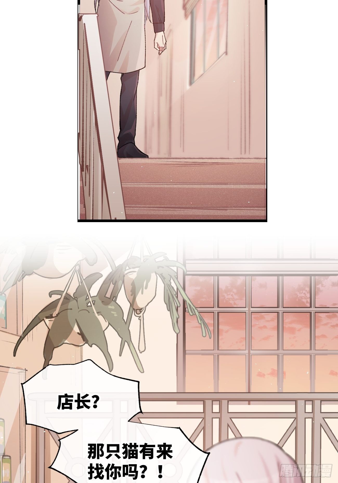 喵与喵薄荷韩漫全集-◆10话◆ 保密无删减无遮挡章节图片 