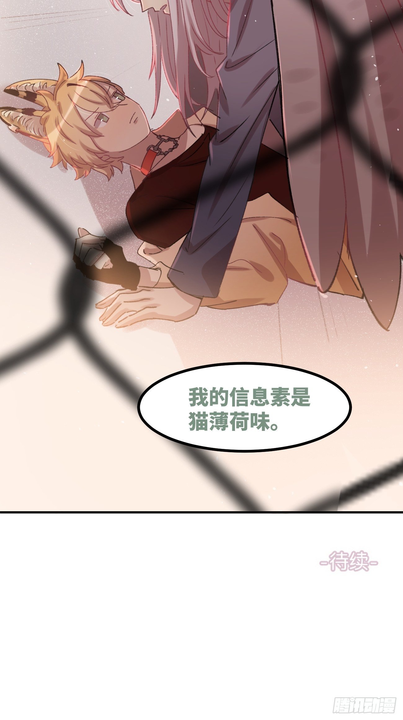 喵与喵薄荷韩漫全集-◆02话◆ 猫薄荷味无删减无遮挡章节图片 
