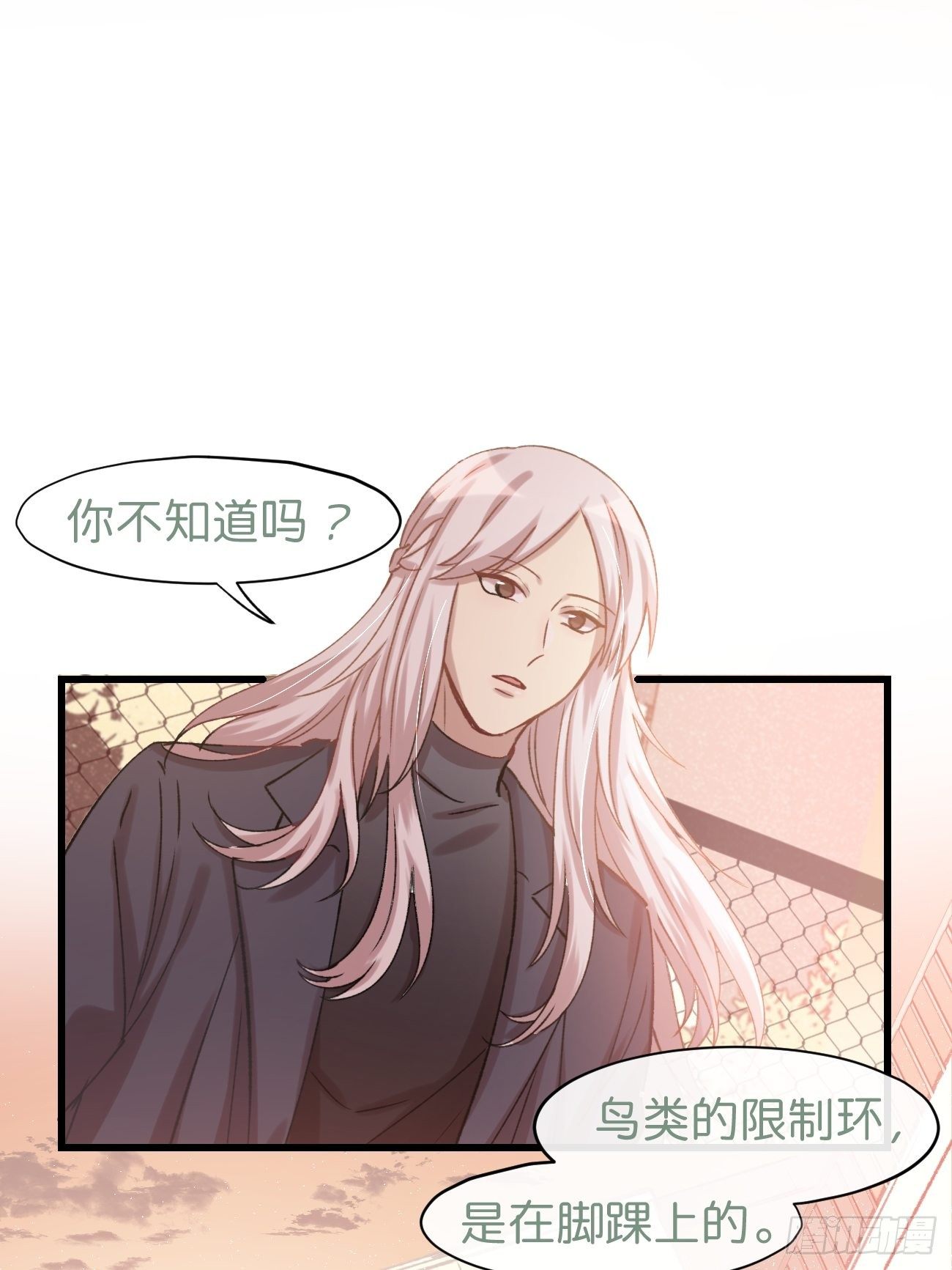 喵与喵薄荷韩漫全集-◆02话◆ 猫薄荷味无删减无遮挡章节图片 