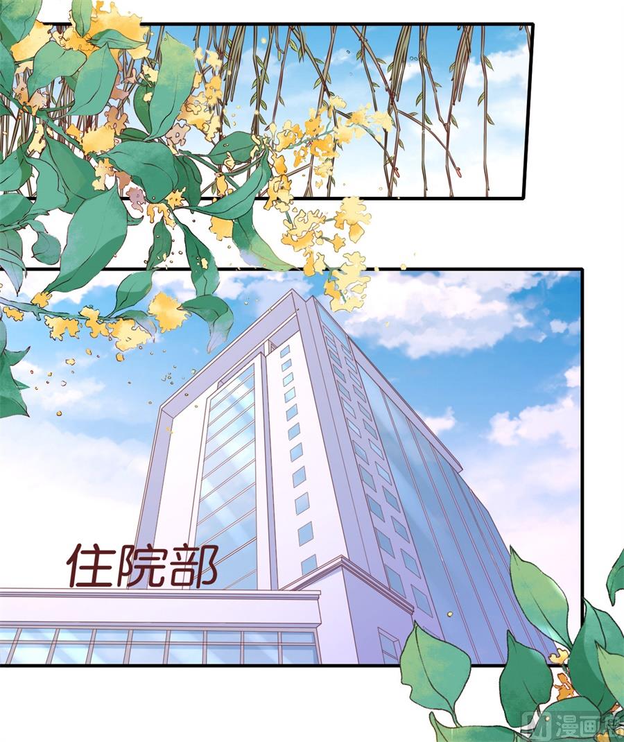 蜜桃恋人之烈爱知夏韩漫全集-第269话 爱的奇迹无删减无遮挡章节图片 