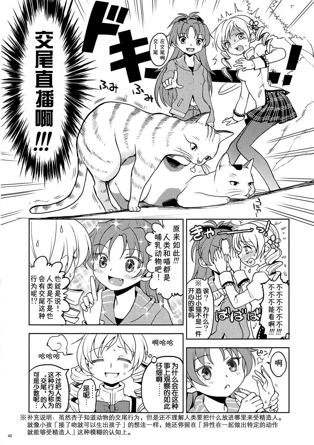 魔法少女小圆 [新篇] 叛逆的物语韩漫全集-(恐13)まとめたの(节选)无删减无遮挡章节图片 