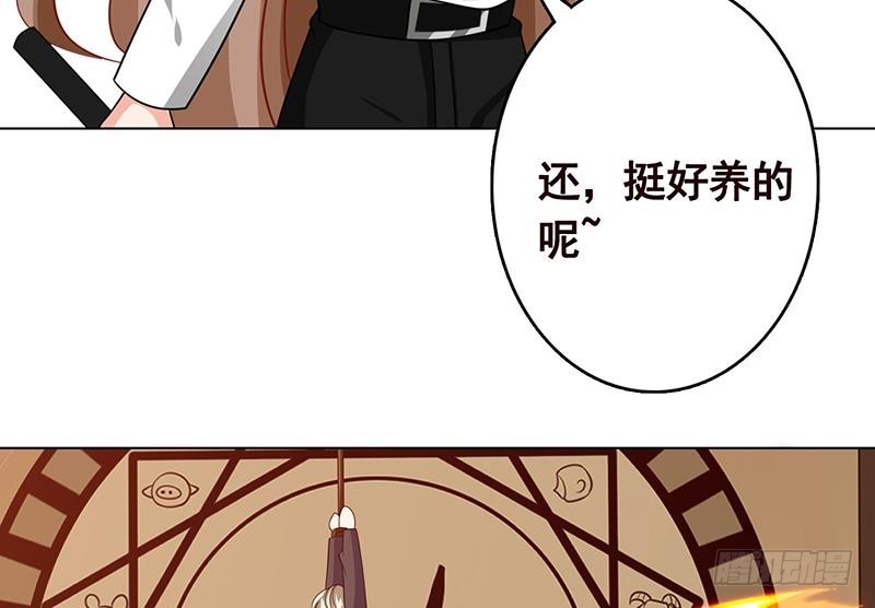 末世恋爱法则韩漫全集-第207话 诡异的丧尸无删减无遮挡章节图片 
